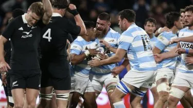 los-pumas-