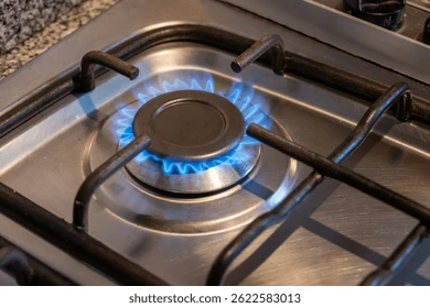 liquefied-natural-gas-kitchen-stove-260nw-2622583013