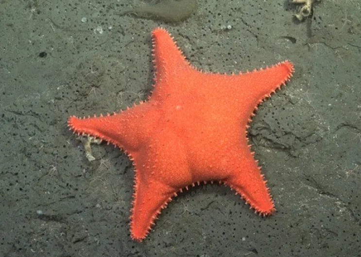 b66b303b-5fb7-41f4-907c-4748309df64a