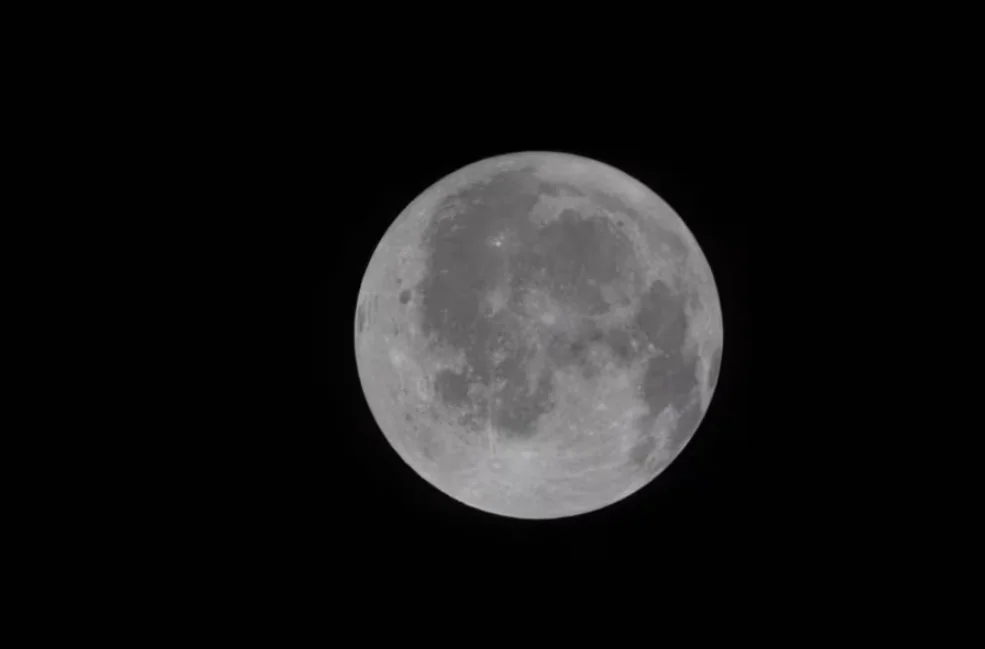 Captura de pantalla 2026-04-04 180627