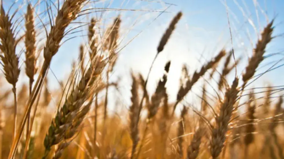 6598043701973_992_558!