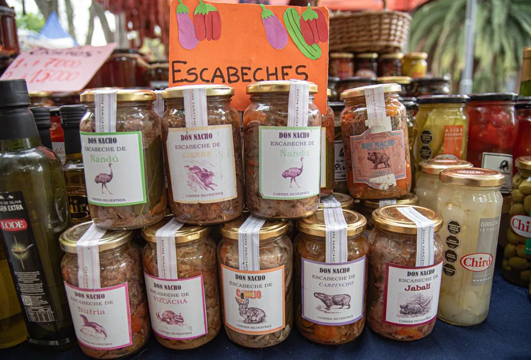 574071452_1388775289278105_6142960831865117117_n