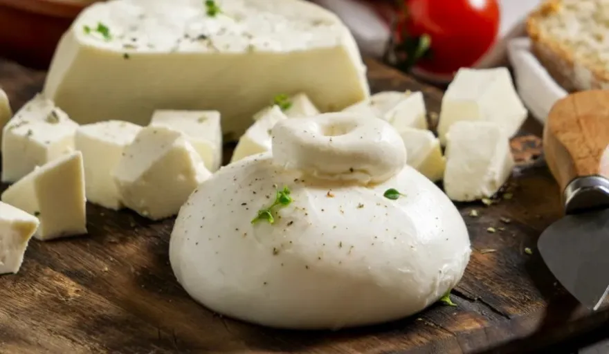 20231012080944_mozarella-quesopng