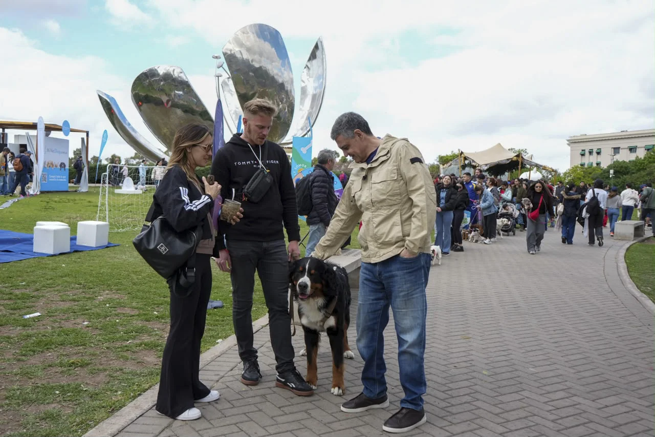 La Ciudad impulsa una ley para que cada perro y gato tenga un número único de identificación_1
