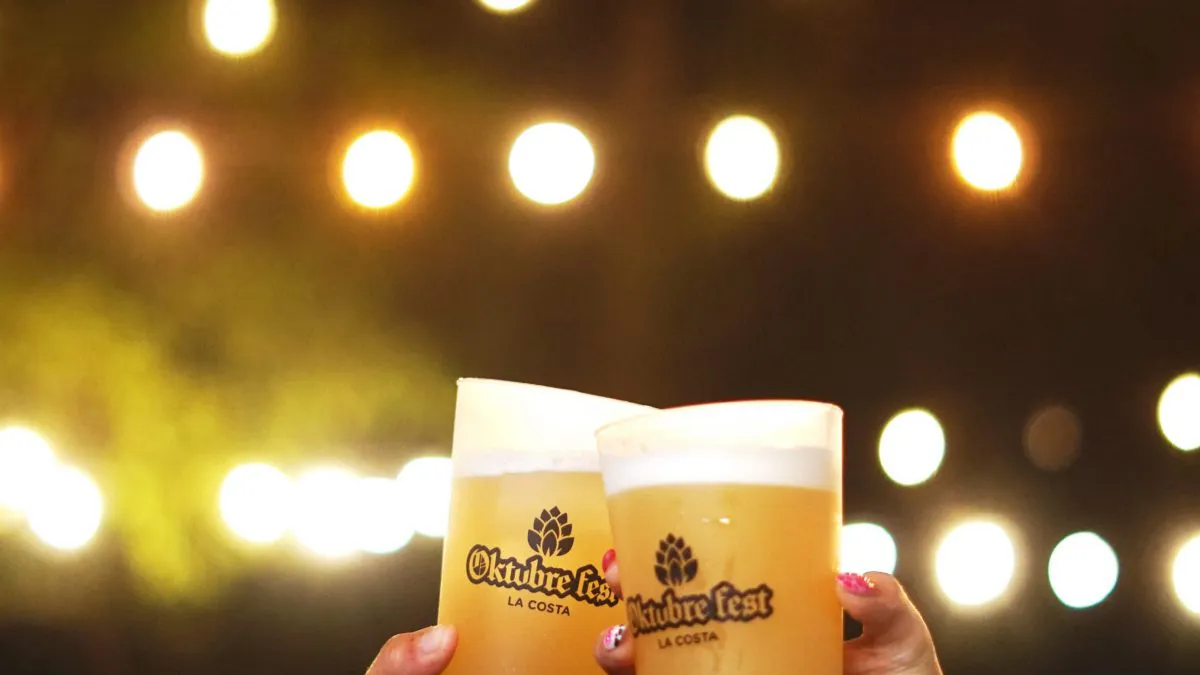 WhatsApp-Image-2024-10-29-at-19.52.42-1200x675