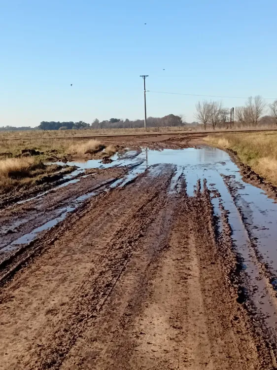 b628131e-5eac-4352-8d3f-e5a09b1d74da