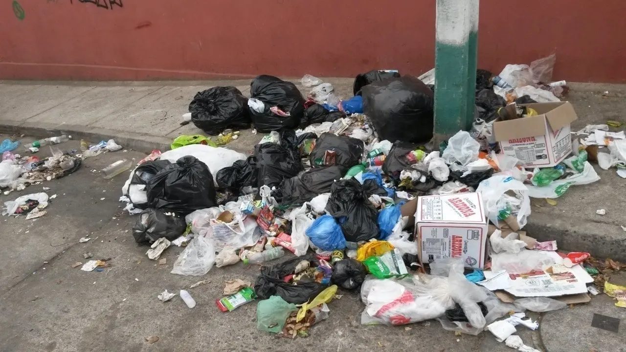 1e307b13-a8f2-4ce3-bef8-575ca7c359d7