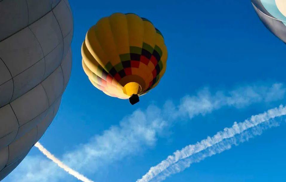 WhatsApp Image 2026-04-09 at 14.23.04