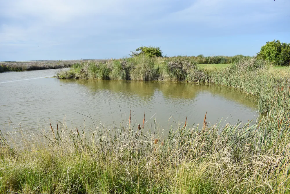 reserva-laguna-salada-grande-70