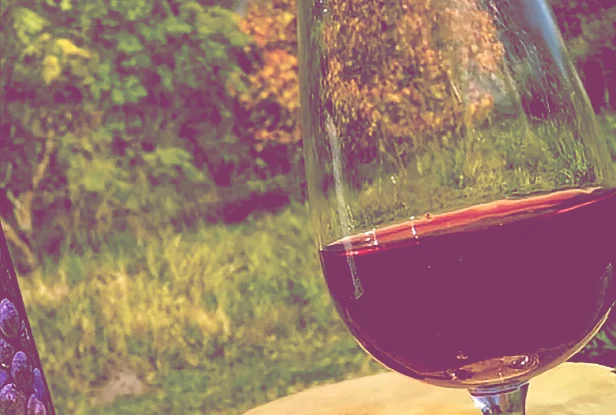 vino