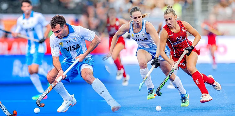 Leones Leonas fase 2 (3)