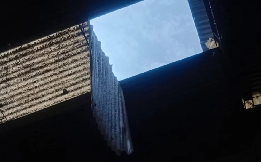 Captura de pantalla 2026-03-03 201447