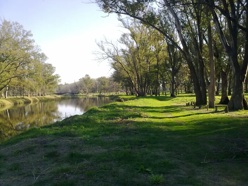 Bosques_de_ezeiza_rio_matanza