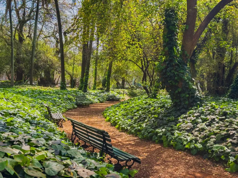 WhatsApp Image 2025-12-29 at 10.15.54