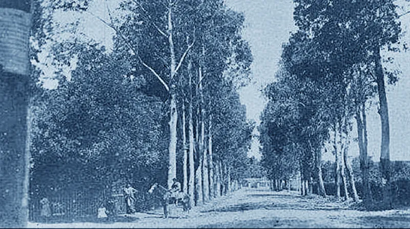 20191010-cultura02226