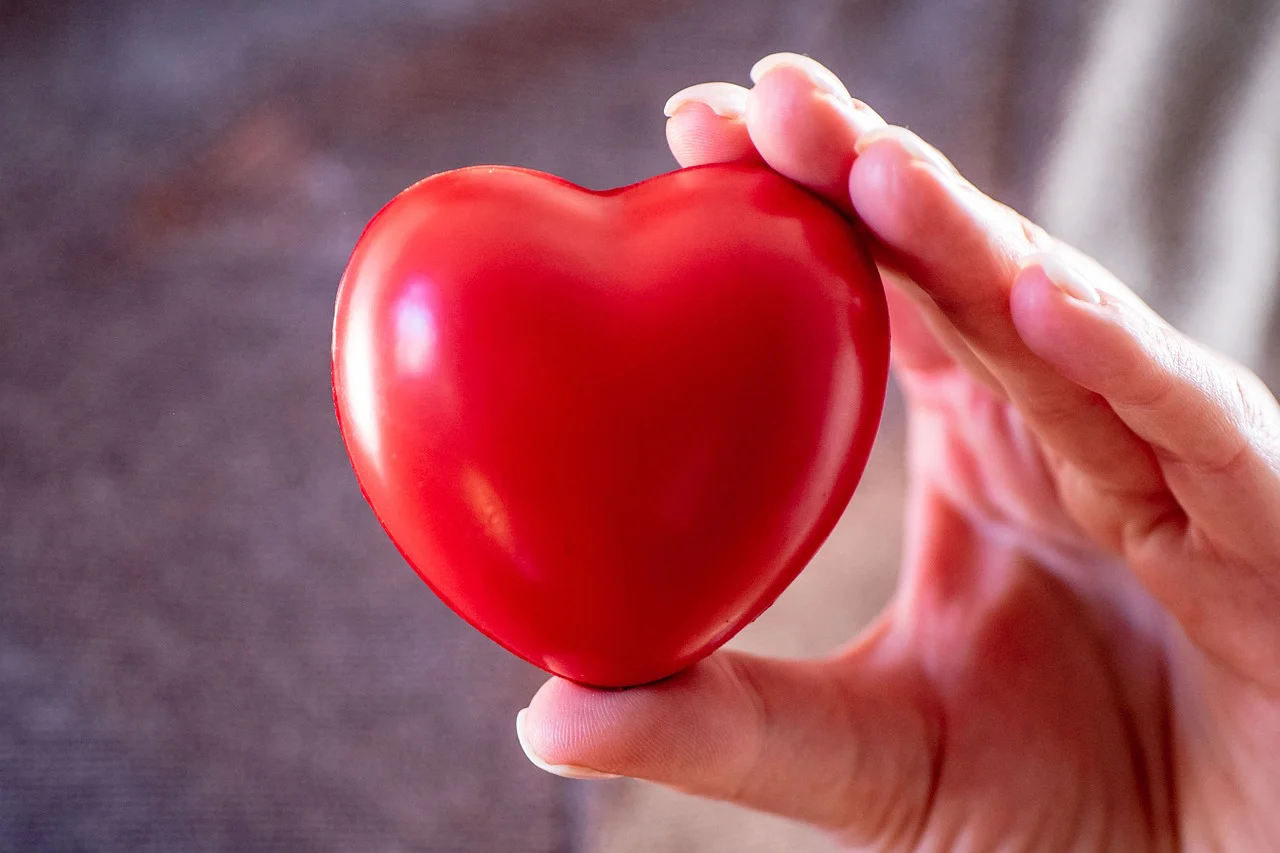 heart-6955779_1280