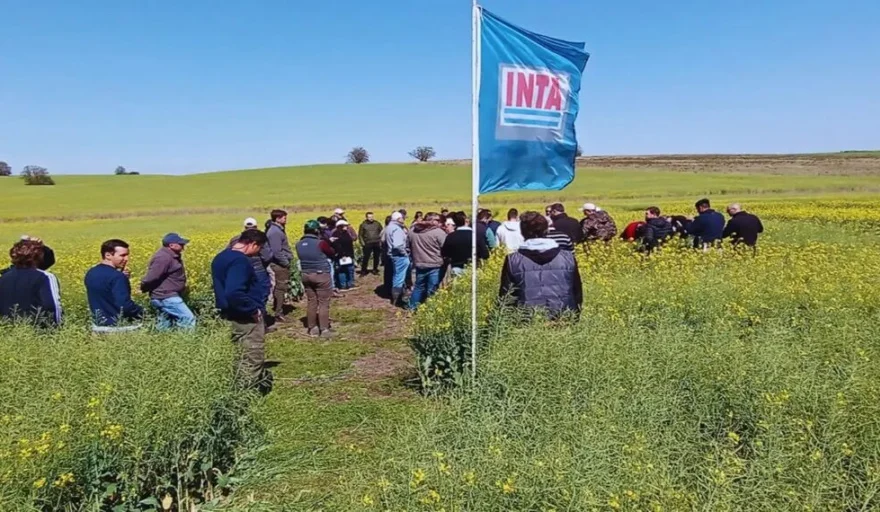 20260409120449_colza-inta