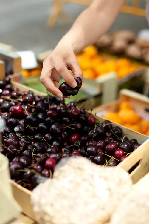 574576557_1388775295944771_1059197691599550575_n