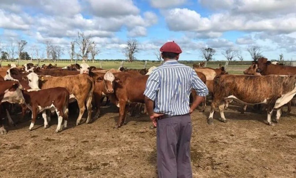 trabajador-rural-1000x600