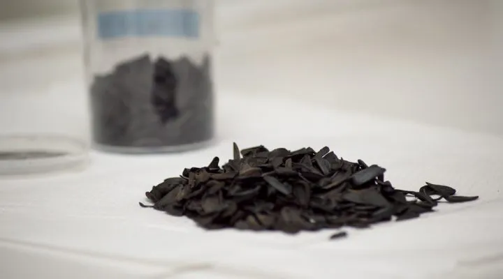 DSC_0800-web-720x400