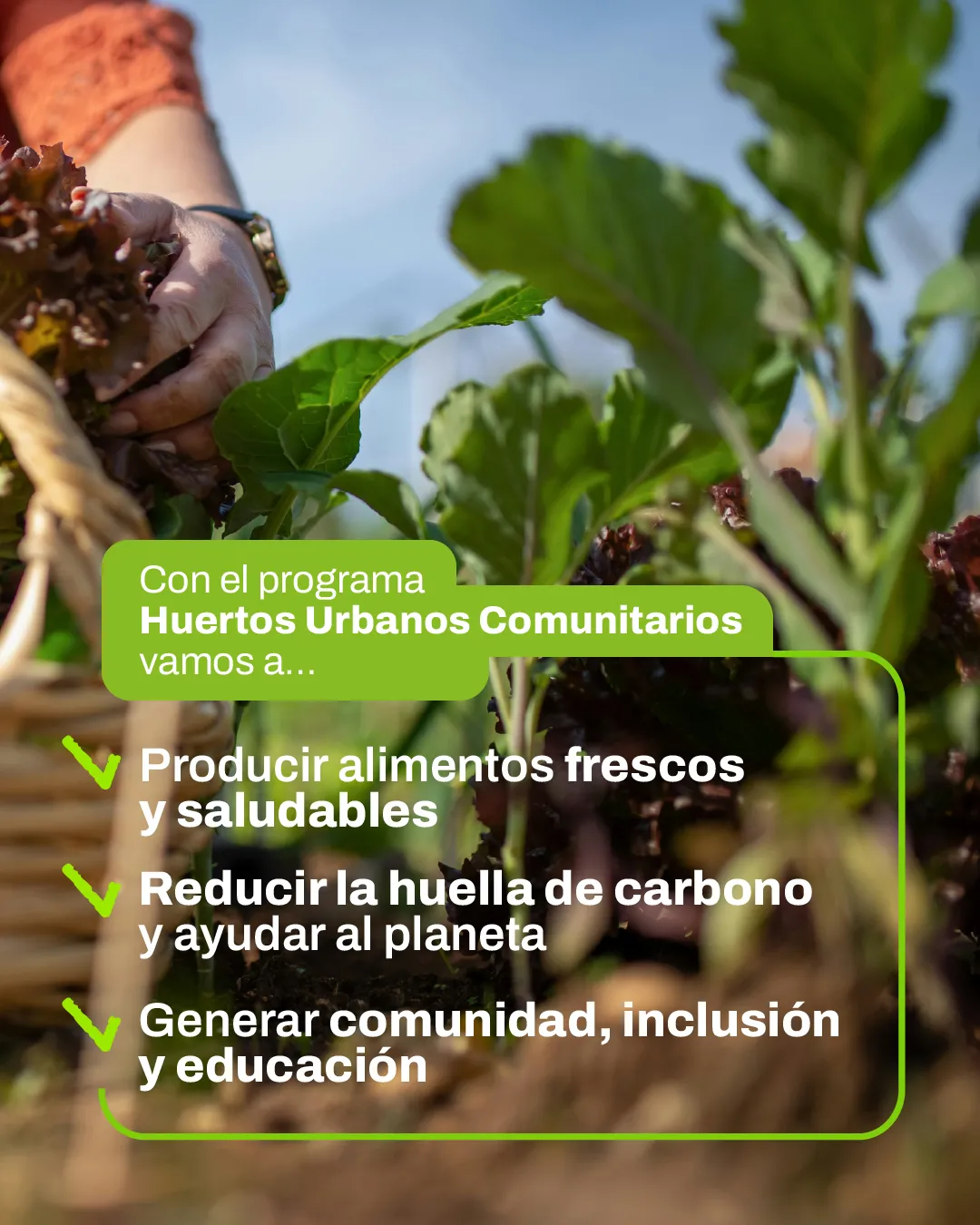 549678464_1236315675187893_3280985811376344463_n