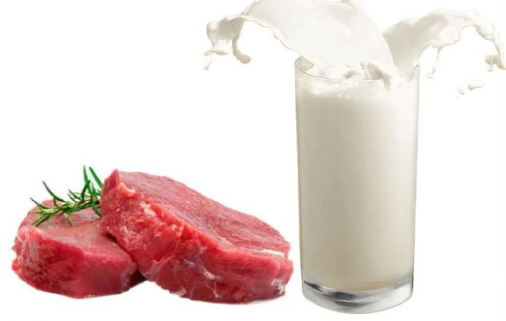 web-Grasa-Lacteos-y-carnes-1024x650