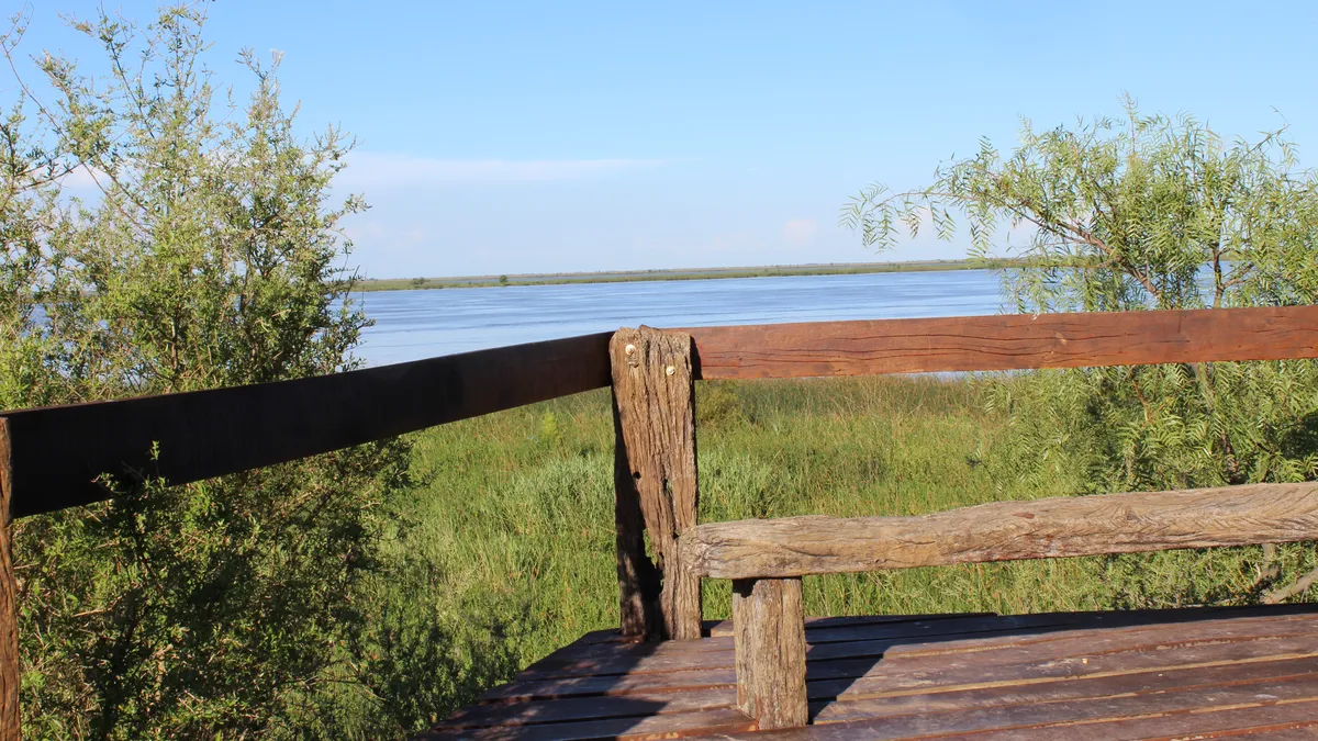 que-se-puede-hacer-vuelta-obligadojfif