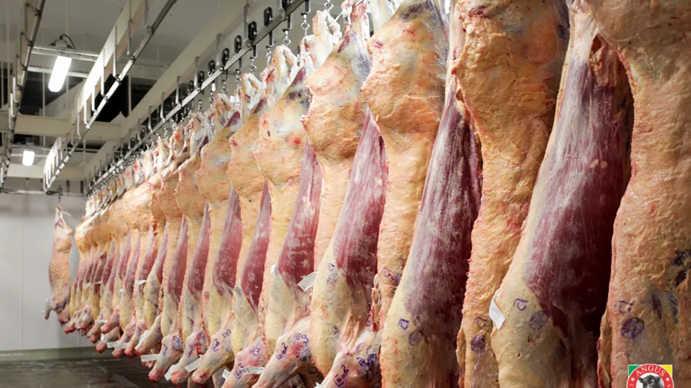 carne-de-vacuno-en-frigorifico